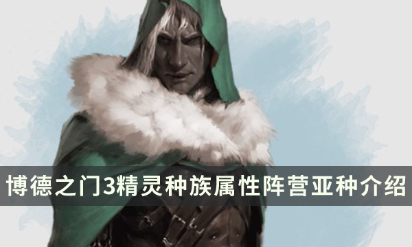 《博德之门3》精灵种族特性指南 精灵种族属性阵营亚种详细介绍