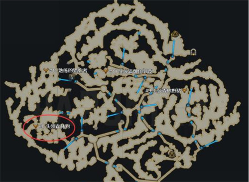 《命运方舟》伯尼尔森林路线怎么走-伯尼尔森林种子路线分享