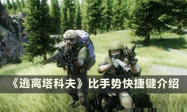 《逃离塔科夫》怎么比手势 比手势快捷键介绍