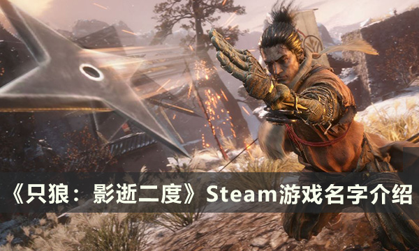 《只狼：影逝二度》Steam游戏名字叫什么 游戏名字介绍