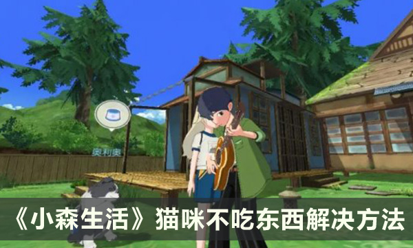 《小森生活》猫咪不吃东西怎么解决 猫咪不吃东西解决方法