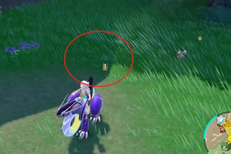 《宝可梦朱紫》莫鲁贝可在哪抓 莫鲁贝可捕捉位置介绍