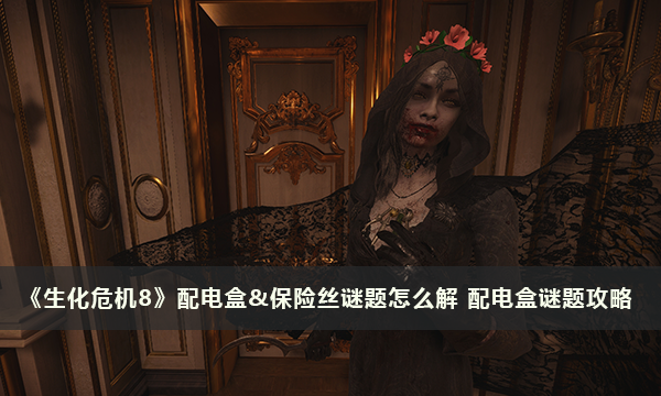 《生化危机8》配电盒&保险丝谜题怎么解 配电盒&保险丝谜题攻略