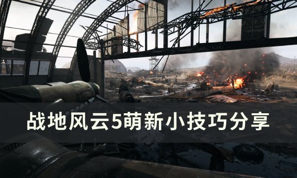 《战地风云5》萌新怎么玩 萌新小技巧分享