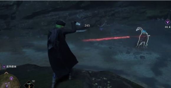 《霍格沃茨之遗》紫角兽怎么抓 紫角兽抓捕攻略