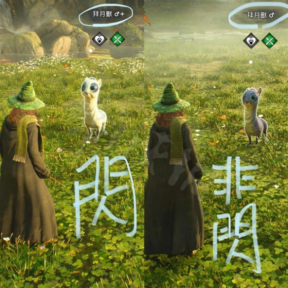 《霍格沃茨之遗》奇兽怎么抓 奇兽抓捕技巧分享