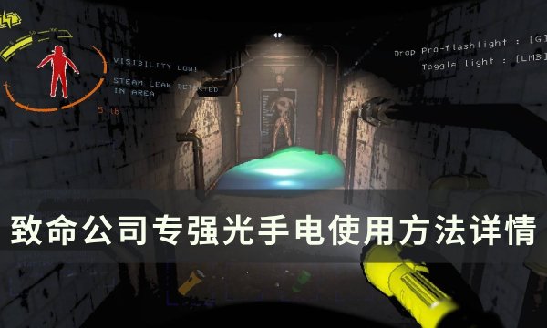 《致命公司》专业手电筒怎么使用 强光手电使用方法详情