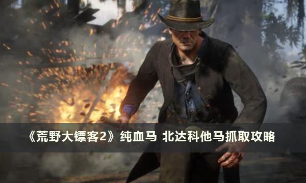 《荒野大镖客2》纯血马 北达科他马抓取攻略