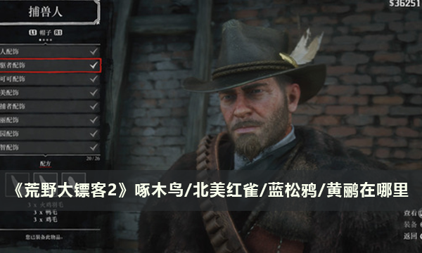 《荒野大镖客2》啄木鸟/北美红雀/蓝松鸦/黄鹂在哪里