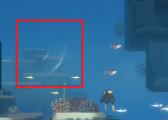 《潜水员戴夫》寻找小鲸鱼任务怎么做 寻找小鲸鱼任务攻略