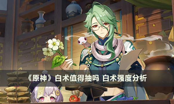 《原神》白术值得抽吗 白术强度分析