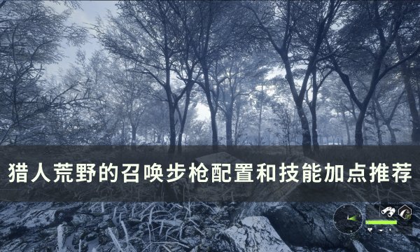 《猎人荒野的召唤》技能怎么加点 步枪配置和技能加点推荐