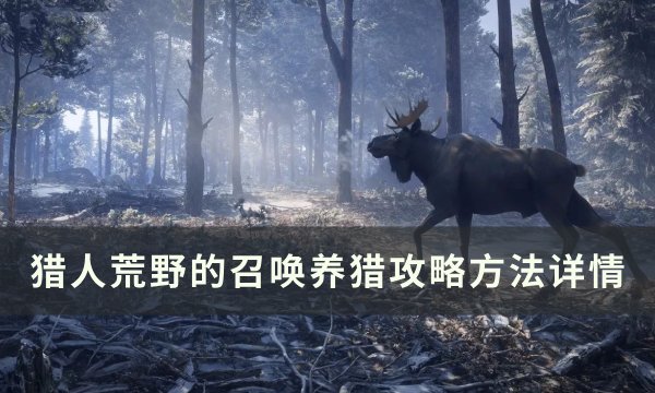 《猎人荒野的召唤》怎么养猎 养猎攻略方法详情