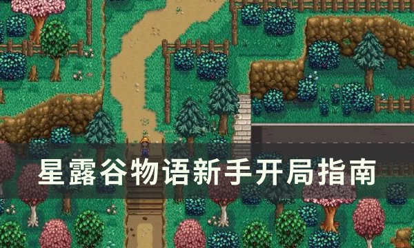 《星露谷物语》新手怎么开局 新手开局指南