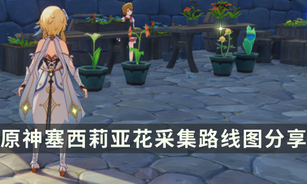 《原神》塞西莉亚花在哪采集 塞西莉亚花采集路线图分享