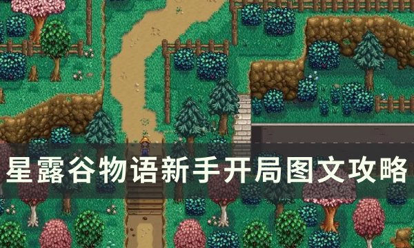 《星露谷物语》萌新怎么开局 新手开局图文攻略