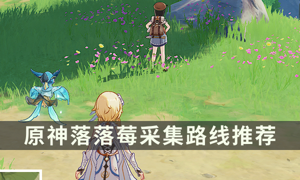 《原神》落落莓在哪里购买 落落莓采集路线推荐