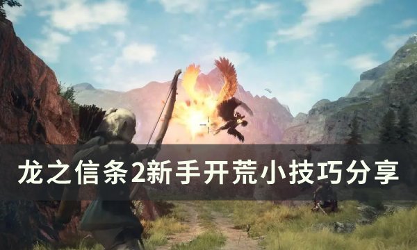 《龙之信条2》新手怎么开荒 新手开荒小技巧分享