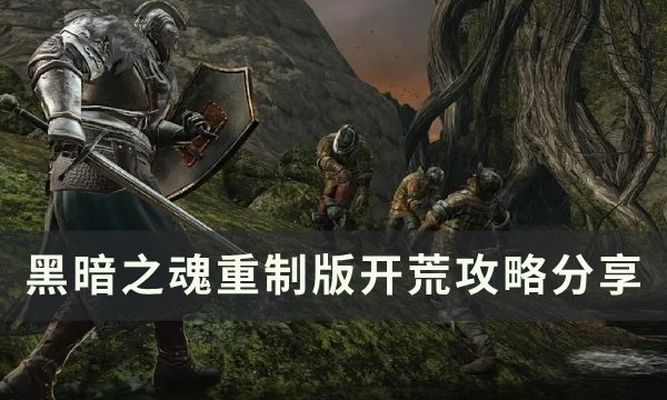 《黑暗之魂2原罪学者》开局选什么职业 开荒攻略分享