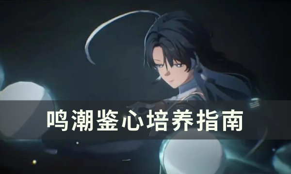 《鸣潮》鉴心怎么培养 鉴心培养指南