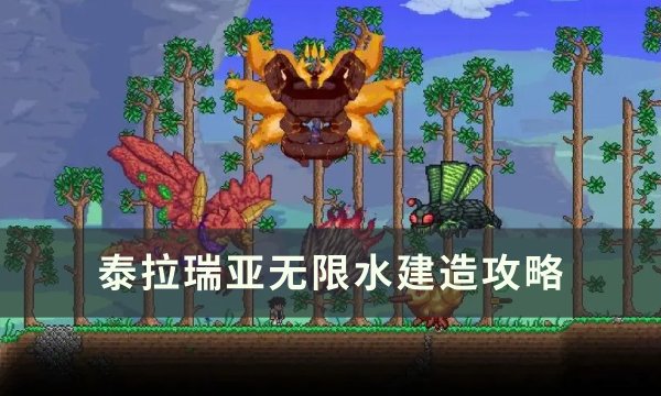 《泰拉瑞亚》无限水怎么造 无限水建造攻略