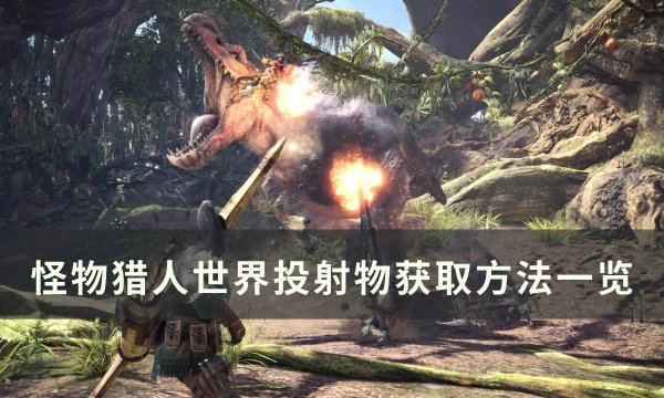 《怪物猎人世界》投射物怎么获得 投射物获取方法一览