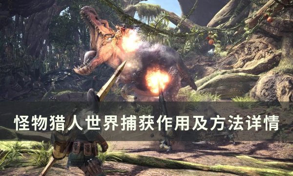 《怪物猎人世界》捕获怎么捕 捕获作用及方法详情