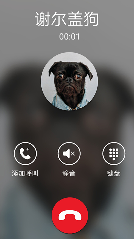 假装来电模拟器 v1.0