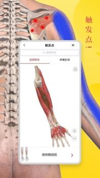 3Dbody解剖学 v3.2.5