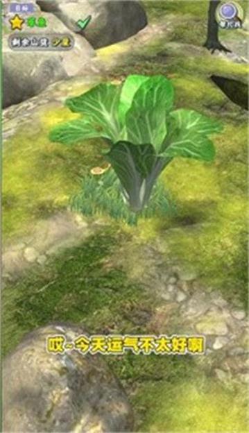 夺笋高手赶山 夺笋高手赶山