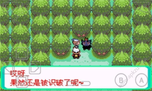 口袋妖怪漆黑的魅影破解版