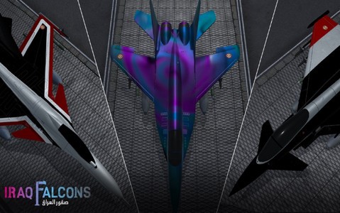 伊拉克猎鹰 2024-06-25 15:08