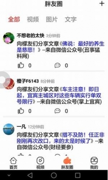 大胖头鱼