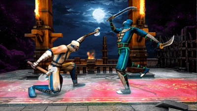 功夫忍者战斗  v1.2