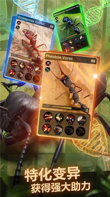 小小蚁国  v1.82.0