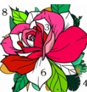 数字填色秘密花园