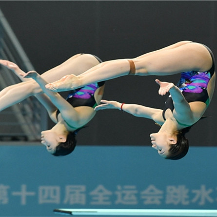 人类高质量跳水表情包动图