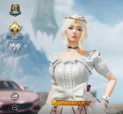 和平精英体验服正版