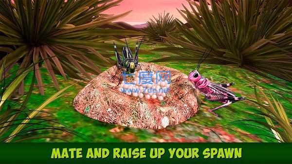 蚱蜢昆虫模拟器