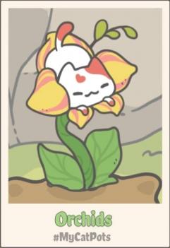 我的小猫花 v0.4.1