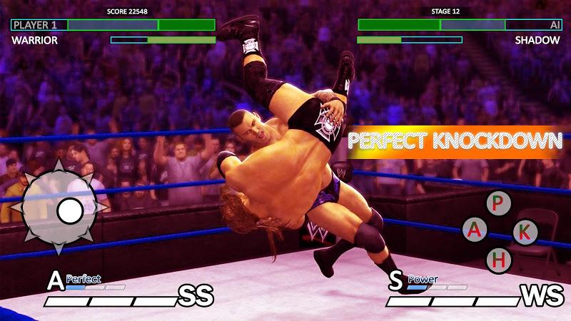摔跤大联盟：职业对抗赛 v1.6