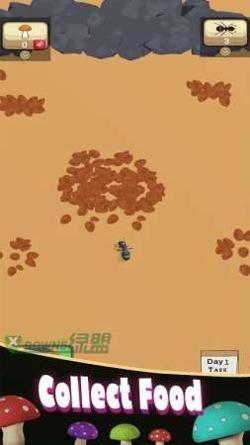 蚁丘的殖民地.jpg 蚁丘的殖民地.jpg