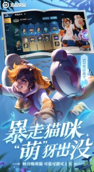 王者荣耀体验服申请官网手机版 v4.0.5