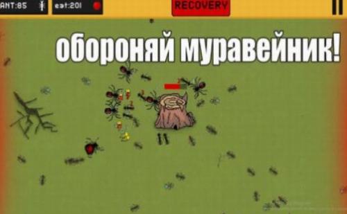 蚂蚁领地 中文版 v3.0.5