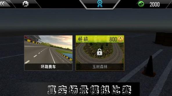 高难度驾驶大师手机版免费下载 v1.0.3