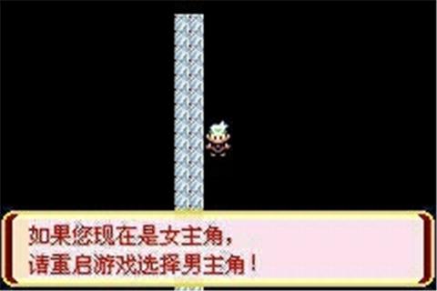 口袋妖怪迷失夜6  v2020.11.04.17