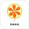 西柚科技