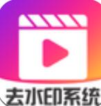短视频去水印系统