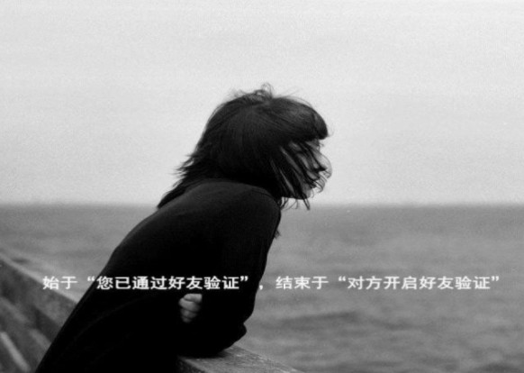 抖音你已经通过好友验证现在可以冷场表情包 1.0