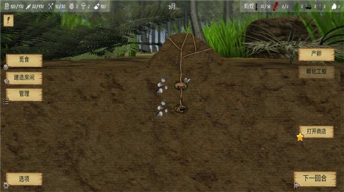 最后的蚂蚁原版  v2.43